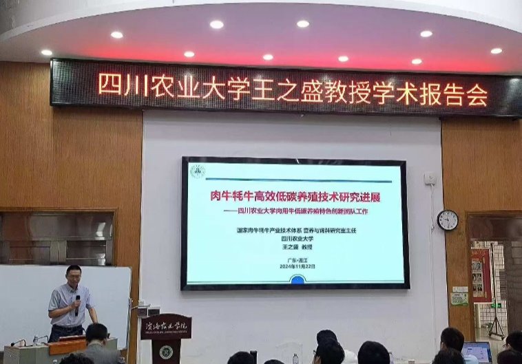 46D828668907BFE42C95D7CD413_51AF67C1_12A28