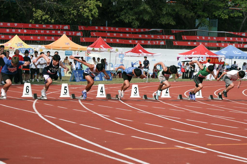 080050294C6DA4122690337A529_87A4D243_21B92