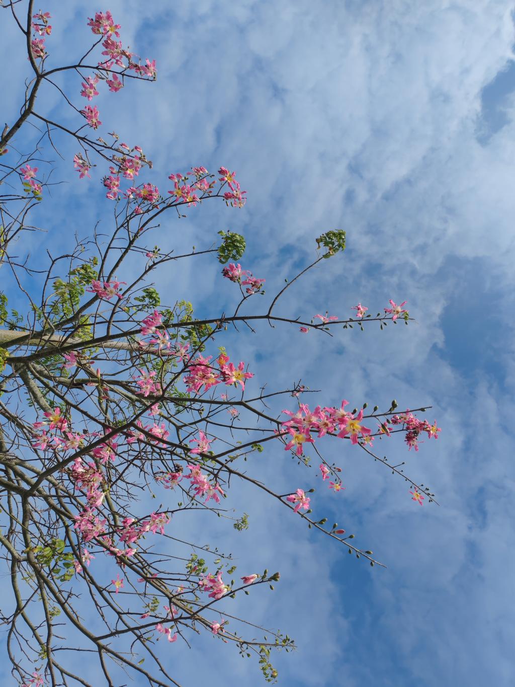 4A3DD1422A2240F52DB92D97EAE_E9BA3A96_30B30