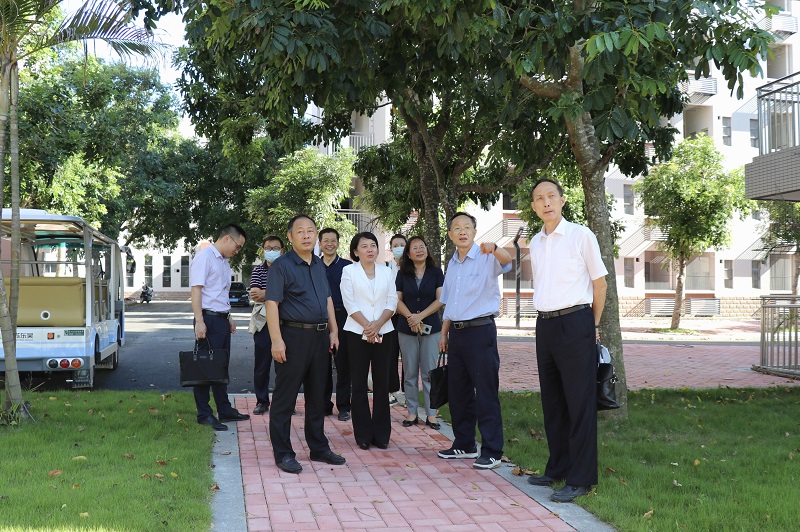 5392CE0632330FD16A65AC3861E_5ECAFD9E_3D420