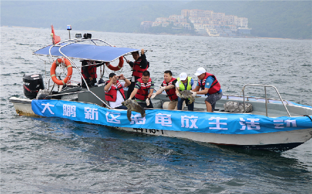 1528879515252639.jpg 1528879515252639.jpg