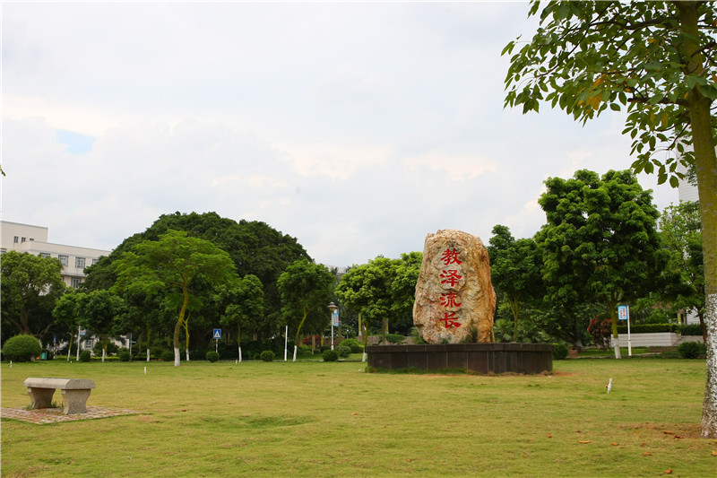 ��ҳ|�Ϲ�NG28��������Ʒ��ʵ������