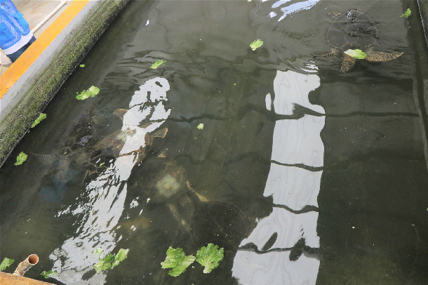 1528879766562296.jpg IMG_3695.jpg