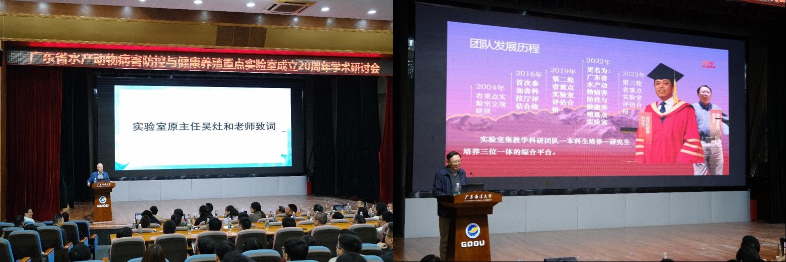 A573F54CE8FDBB83217CB7CC48E_B8D37542_65843