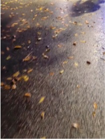 ��ҳ|�Ϲ�NG28��������Ʒ��ʵ������