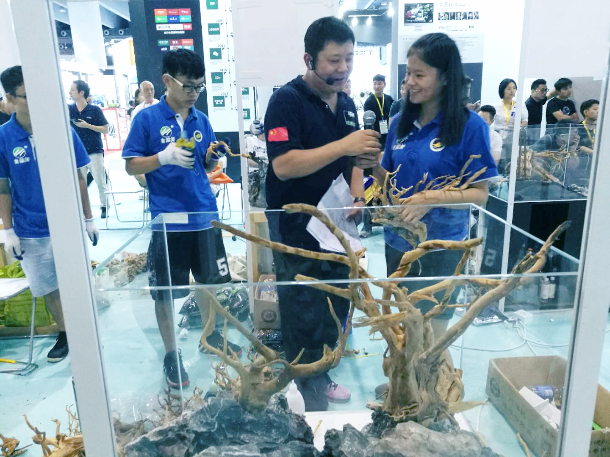 1539142132564103.jpg 1539142132564103.jpg