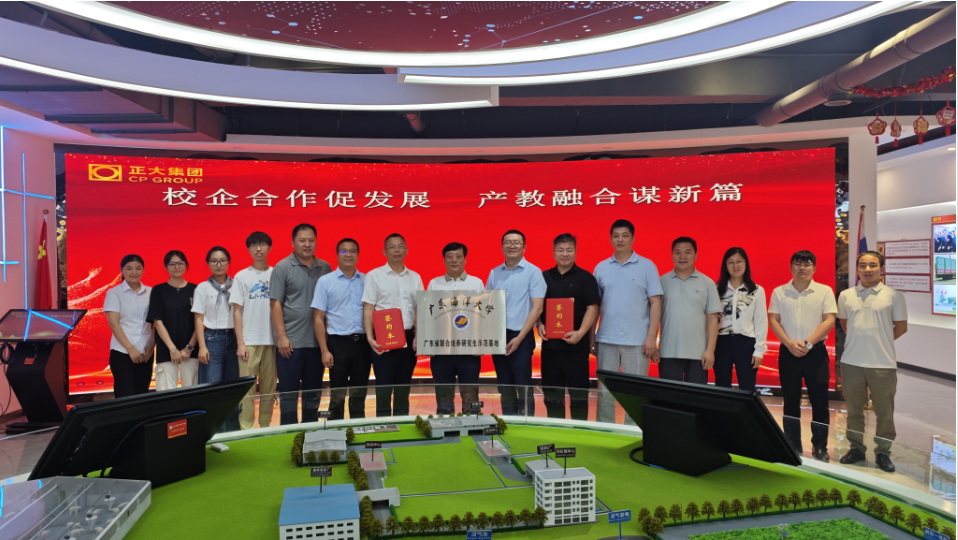 09BBF7DD39020411EF7B2FAF325_EBCEE6FF_BD6A8