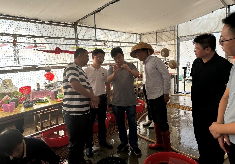 E72C5236A1BE38428A37641B726_45E82E4D_2093A