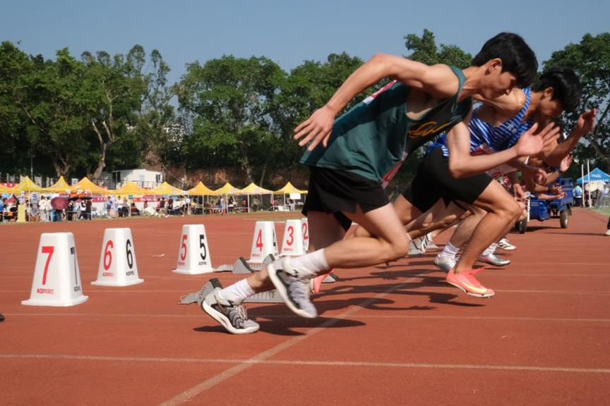 1C5D348903F36F011677CB7108D_66F15DAE_B1894