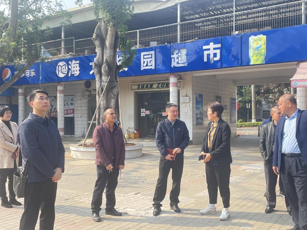 C572AF5A56E5D4B1543CF01328F_67887CF4_24D15