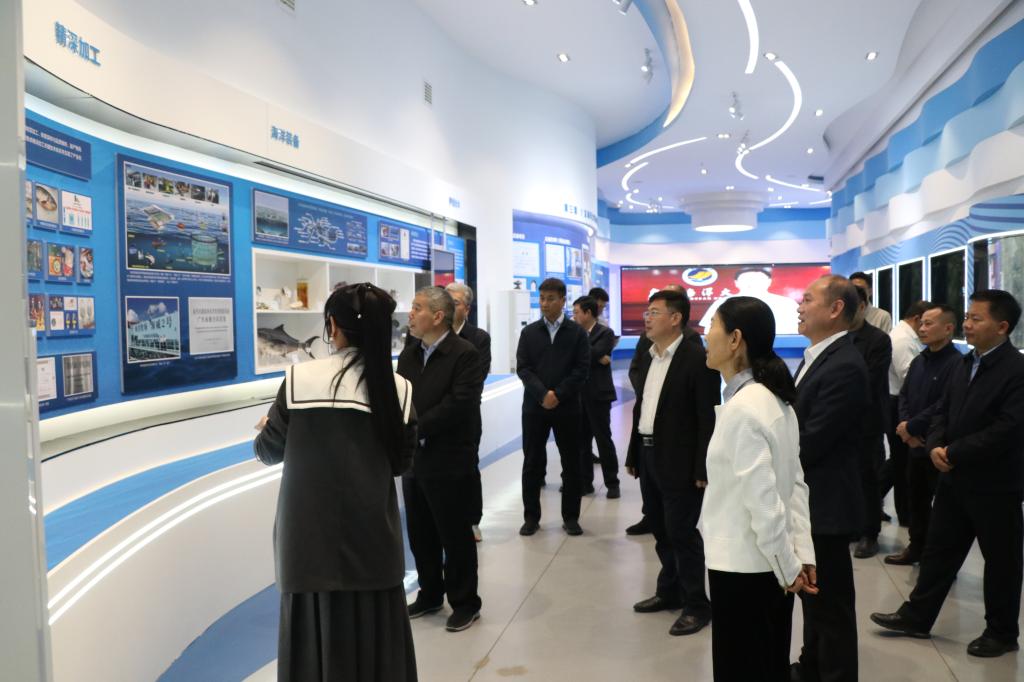 44DECEA258AA64F6D2668543B62_00CB7C57_141C4