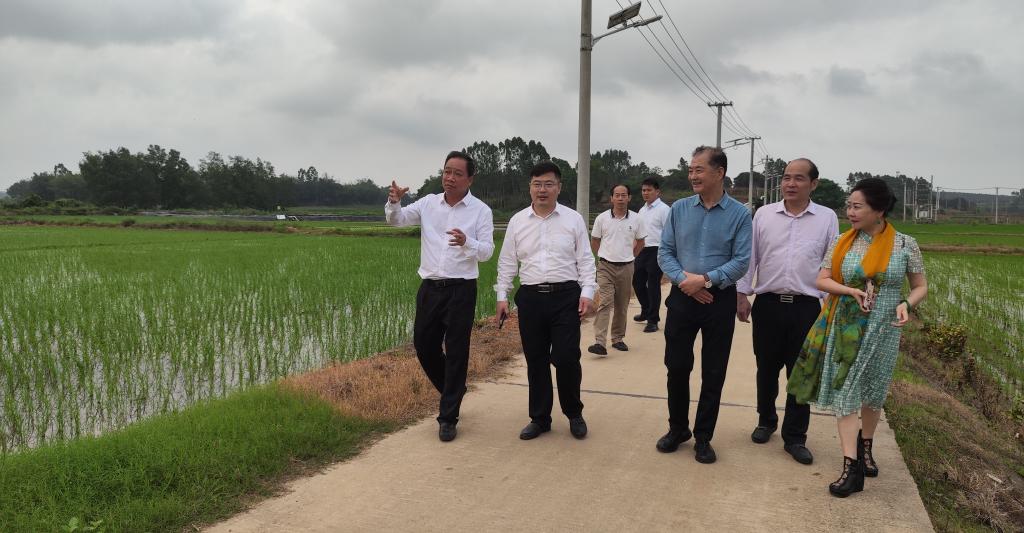 7C5364B91C88B06D47FC414A7D0_723FACD9_15318 7C5364B91C88B06D47FC414A7D0_723FACD9_15318