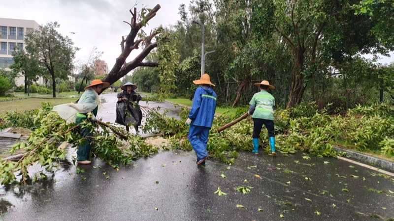 ��ҳ|�Ϲ�NG28��������Ʒ��ʵ������