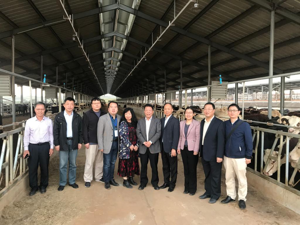 5165B96371FD48056CC4D083048_61C2645C_1FEC2 5165B96371FD48056CC4D083048_61C2645C_1FEC2