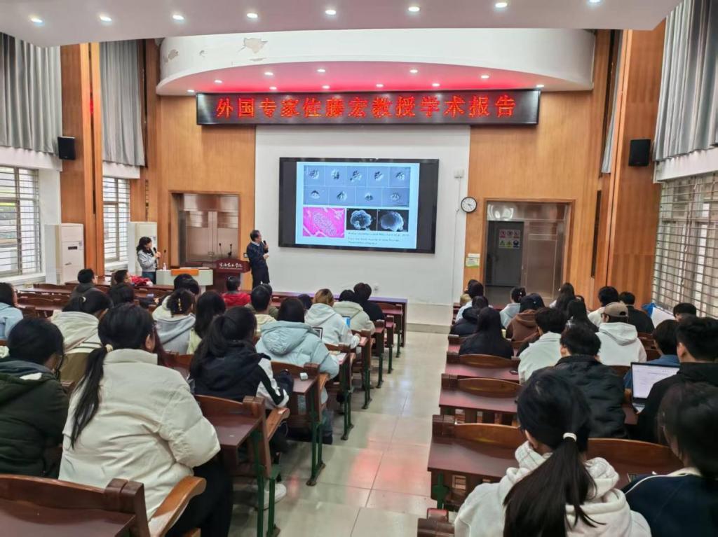 E150F25775DBB372918657C5FE5_DF7C45C7_1A2AA