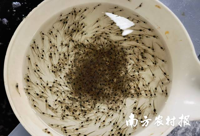 2AAF60087E14BE20EB12548C437_E8F93FF3_73754 2AAF60087E14BE20EB12548C437_E8F93FF3_73754