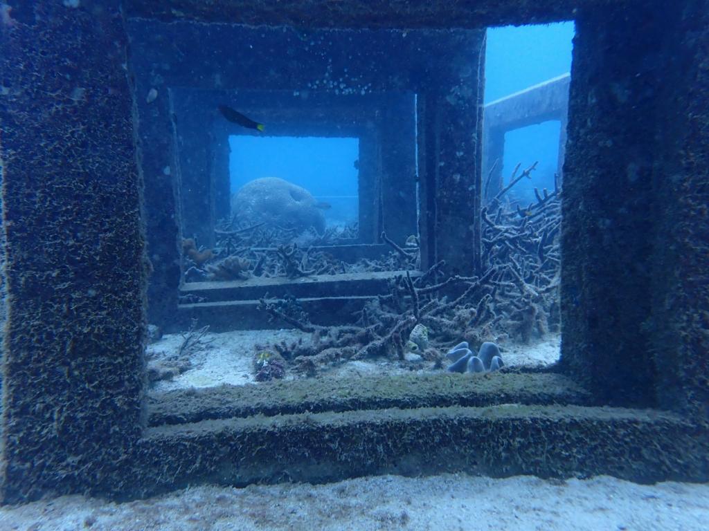 4D9CD85EE18E8CD14FBFD2D9E01_05EC68EC_1C1D8