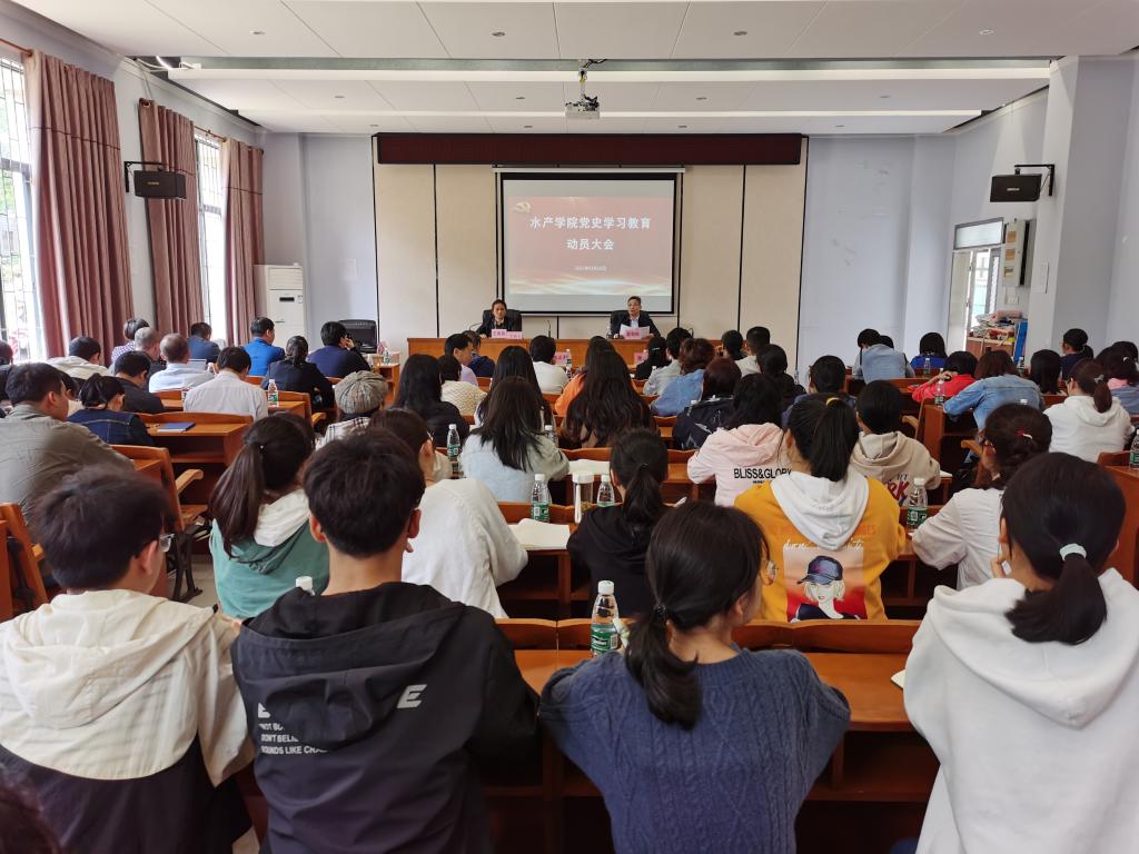 4C0DBA7A4D05D2FADE87FB3C0EA_5D55424D_1AD62