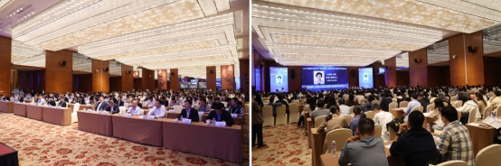 ��ҳ|�Ϲ�NG28��������Ʒ��ʵ������