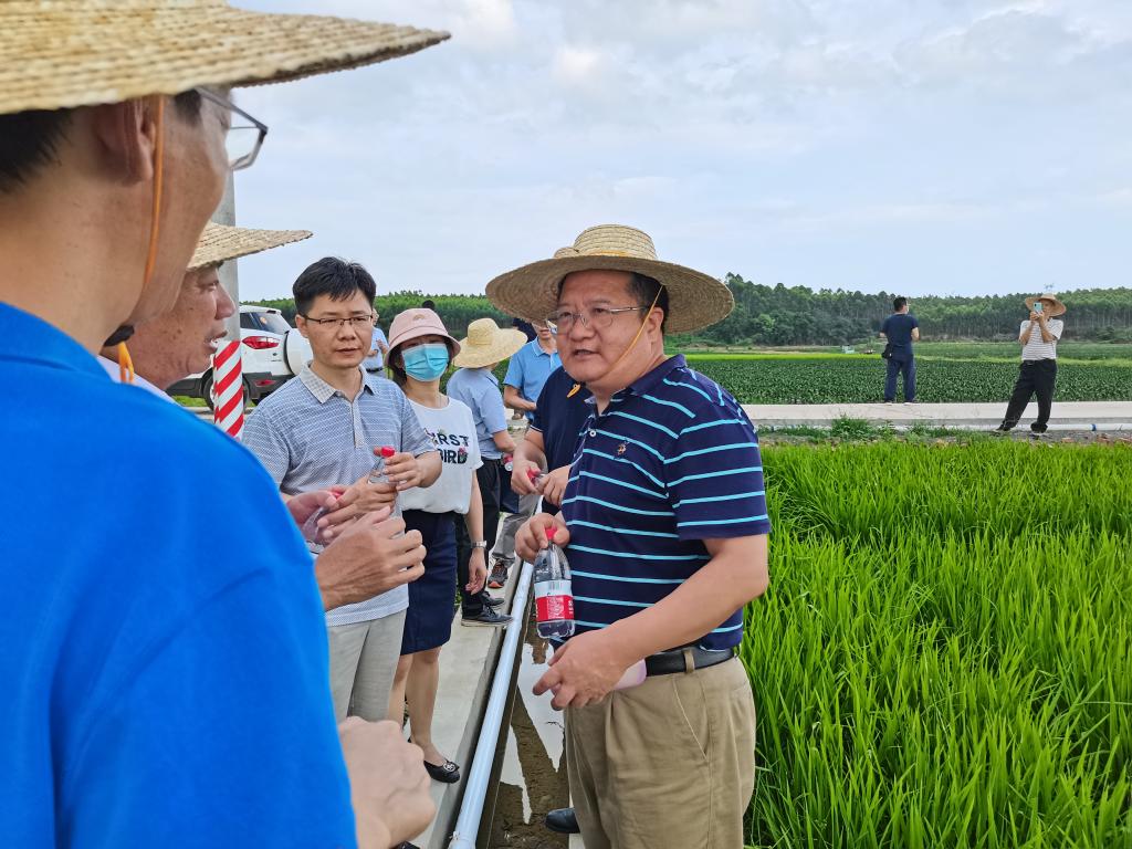 80F752296D51635D901D823B425_C5443B24_1ED67