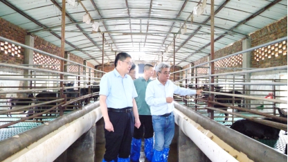 C4FDCEEF4000AE8ABE4EDC9E4A7_565814BD_1BD38