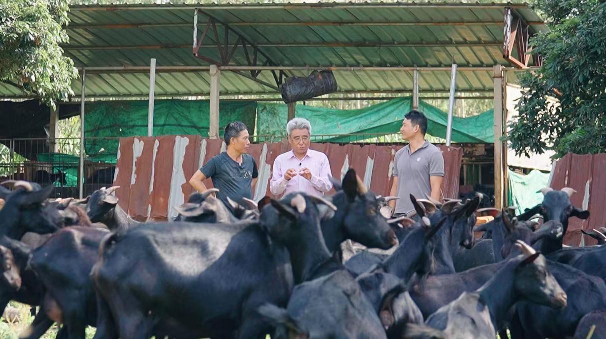 5062B46518DC783D763D6514D90_07B37487_20D1C