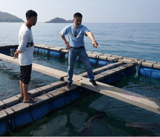 A11D3056F202ADEDB0D6ABBDE28_F2341634_100745