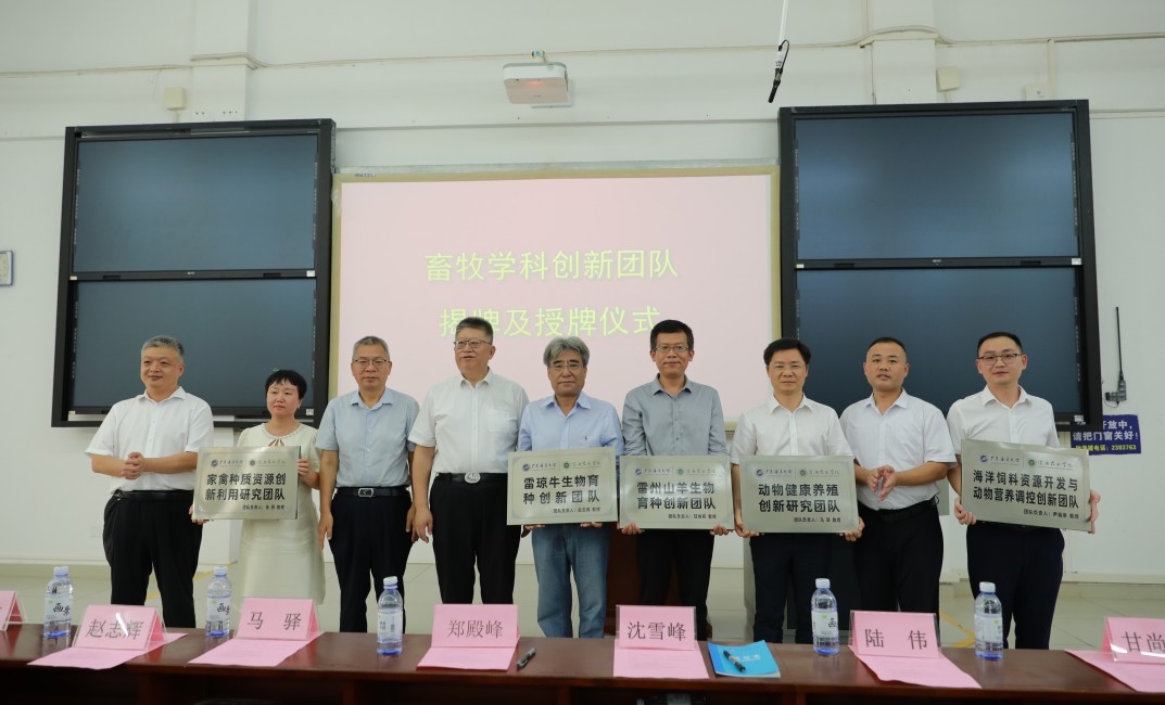 32BEF7D5AA5D0F03A73E200E957_4658C0CF_1D3CA