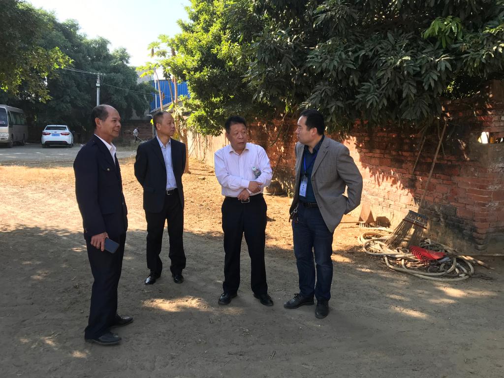 CE8D5611E9D72C8C580FF776681_DB42D6D4_2431F CE8D5611E9D72C8C580FF776681_DB42D6D4_2431F