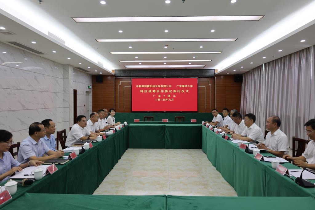 C15EE073C2E5FCE37292A32AD8C_5C4F2B6F_1463B