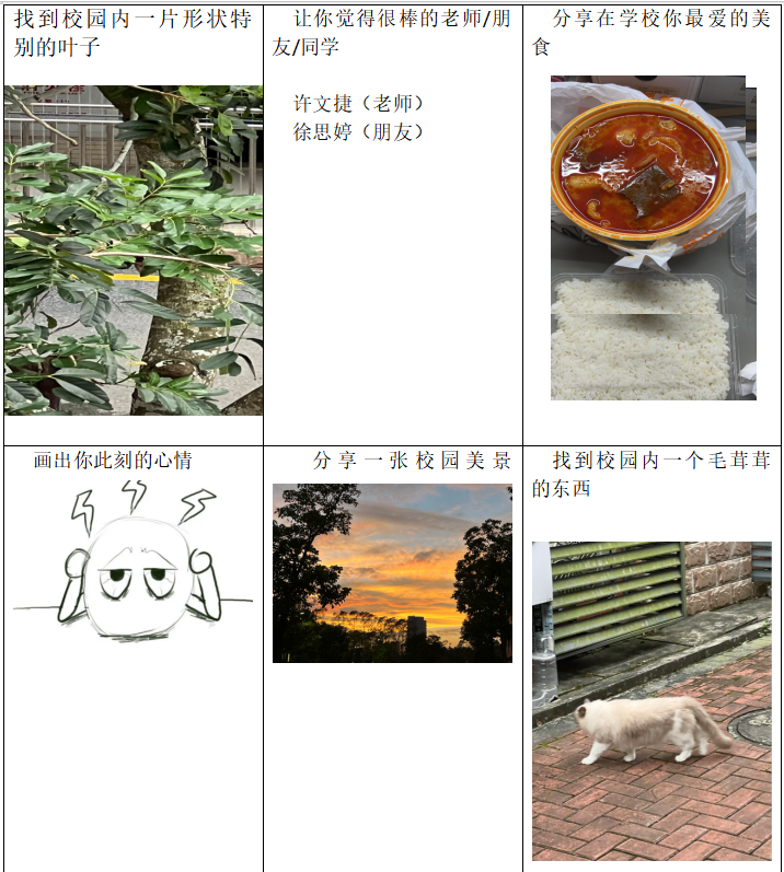 2DBBDAF2C7AEDC911C424B863CD_BB49A81E_97751