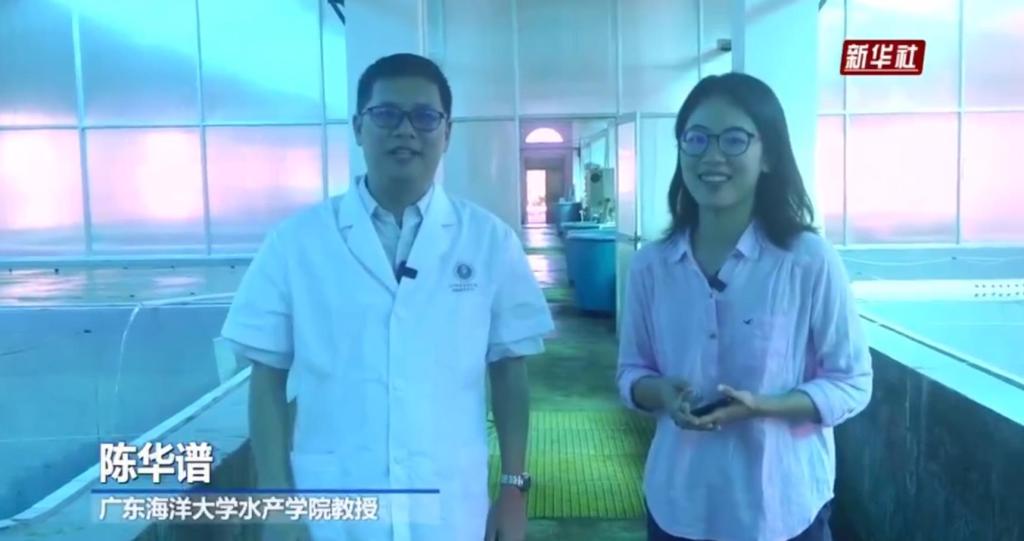 8EC494A2A463769E08FA174284A_5A035442_C575