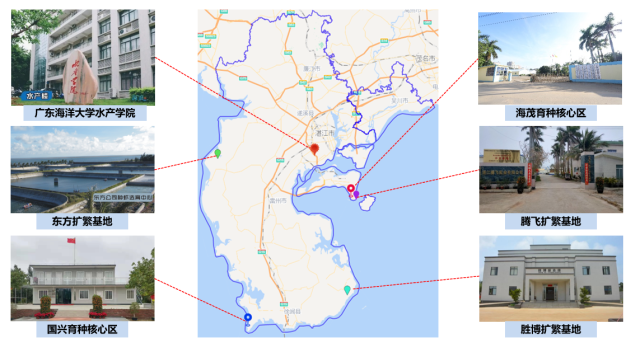 68AC99D7DF4C00EEF41077F3F08_734615A6_43B24 68AC99D7DF4C00EEF41077F3F08_734615A6_43B24