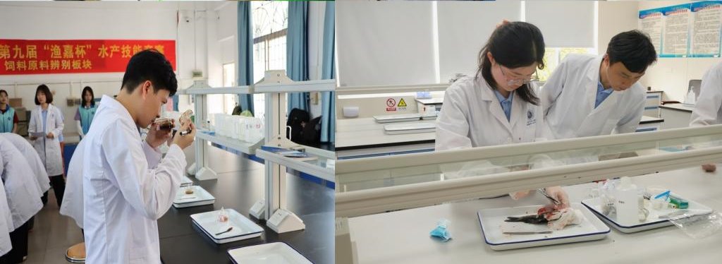 884DE3EF46260DCE3E58C84305E_7A4F228C_119B1