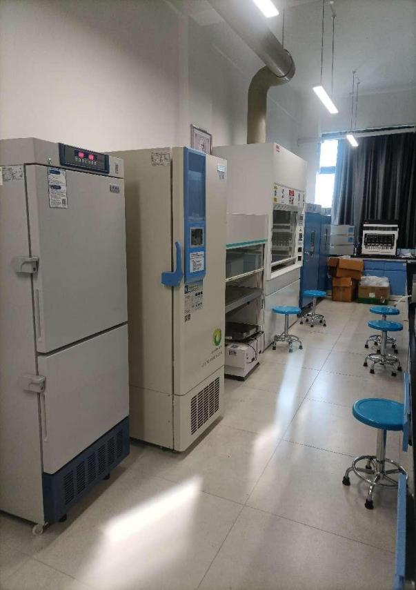 530D9B430793964F05DF8D12F47_49D2A94C_6E26A 530D9B430793964F05DF8D12F47_49D2A94C_6E26A