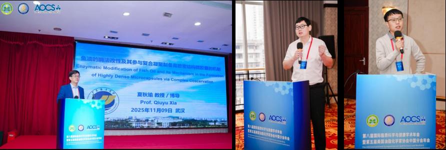 6BF010CCD216C0B2FE2D3C86193_62D3CCC5_B2FE