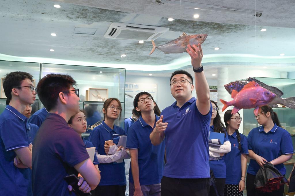 FEC41FD434D731C6064FA6A0A89_FD84A59C_15C54