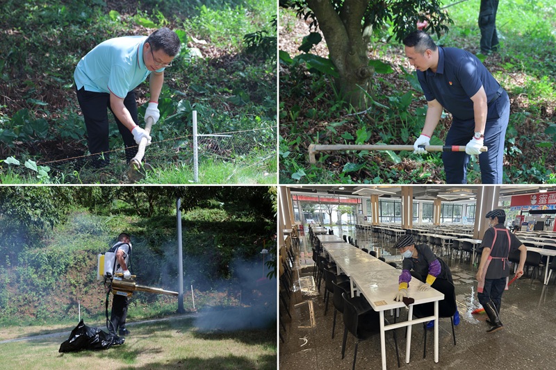 010DDCF811AFEE4478CC6ECE498_E5E7E9D4_3DFB8