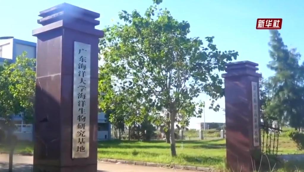 BBB824D7AE7443C78DE4F705F8F_961F2E1F_14144