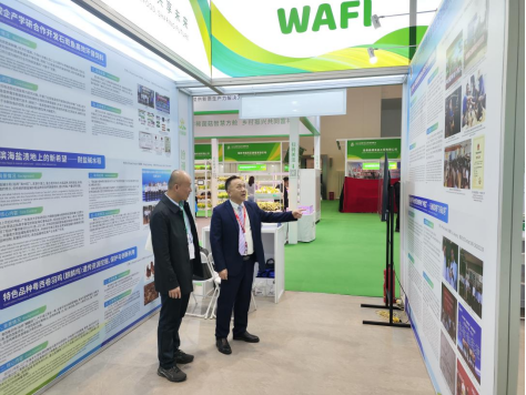 ��ҳ|�Ϲ�NG28��������Ʒ��ʵ������