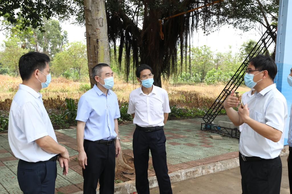 ��ҳ|�Ϲ�NG28��������Ʒ��ʵ������