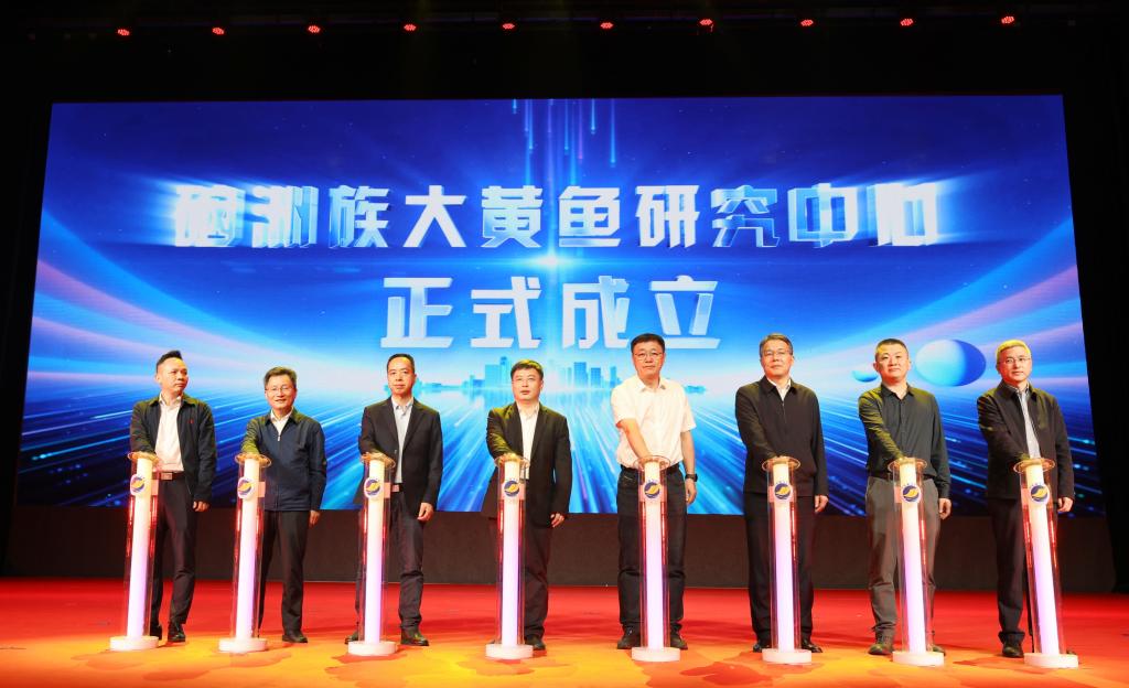 24D91CAC1441031A2A33FD52472_A24BE496_15238