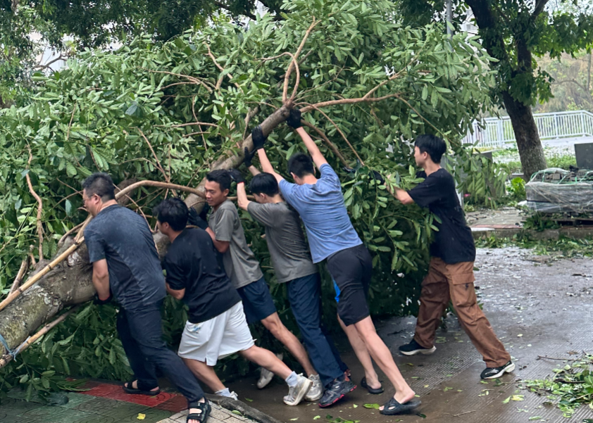 474CFC491CA735879A7E61B5302_771B119E_FF161