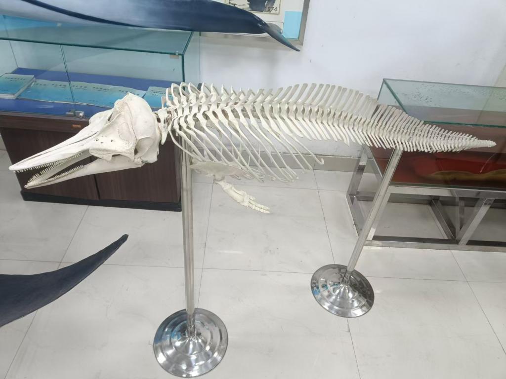 94A5475C623CC4E91512BA4922B_0FF93F76_12798