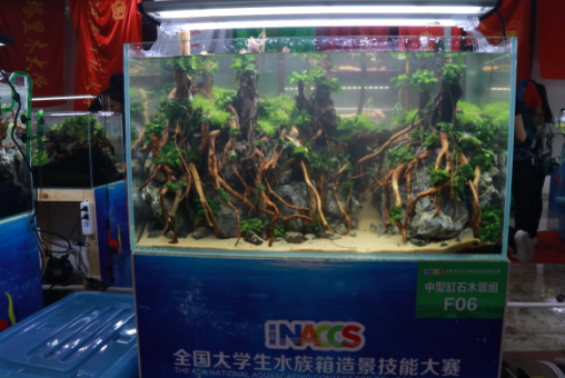 1507776278225916.png 1507776278225916.png