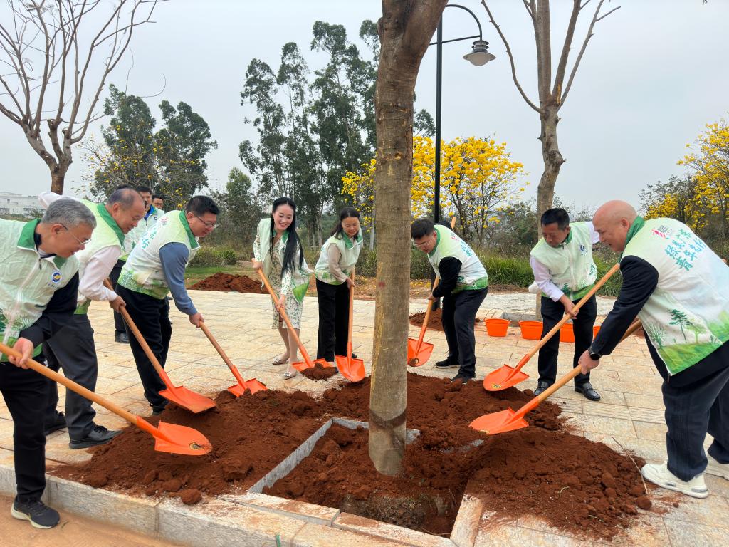 00DB2E6A2B434DE4F120028A478_7D516881_2AE6A