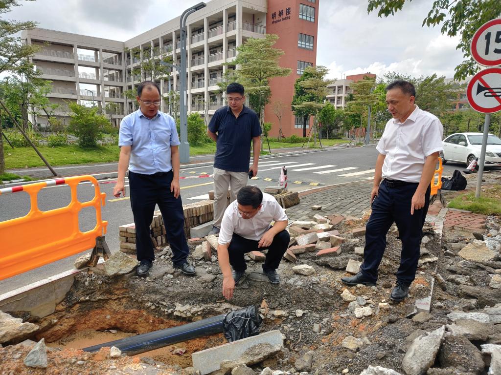 DDE2A383D6F8BF34E7A447DD032_4D5A73F9_2F780