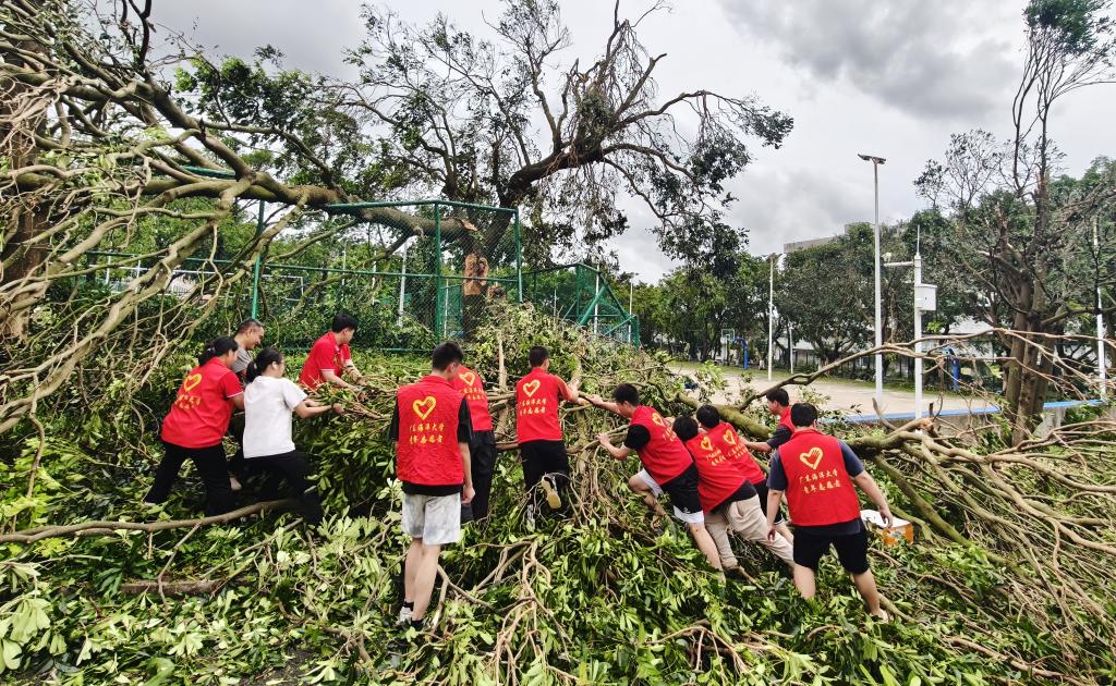 3D395098F50EA2EABA9499CE880_0C6942C4_39C68