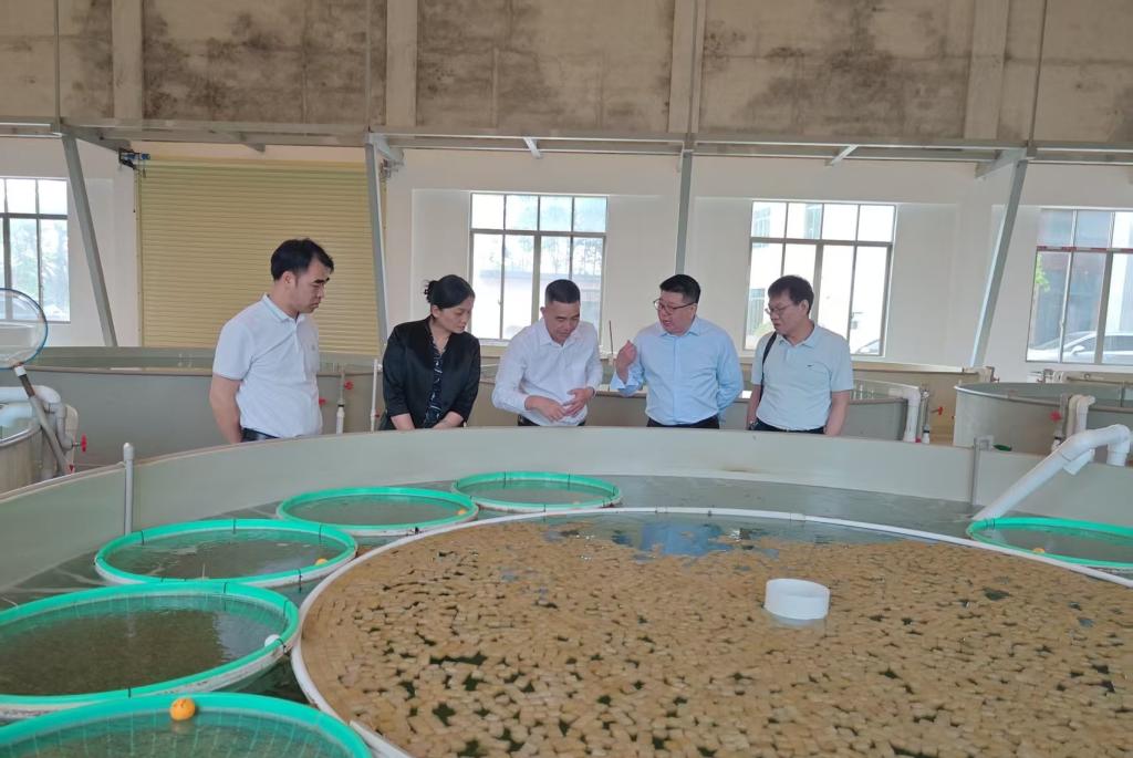 CAE66F1AB6A9E4D4EA70B432F00_0ECE026A_159F1 CAE66F1AB6A9E4D4EA70B432F00_0ECE026A_159F1