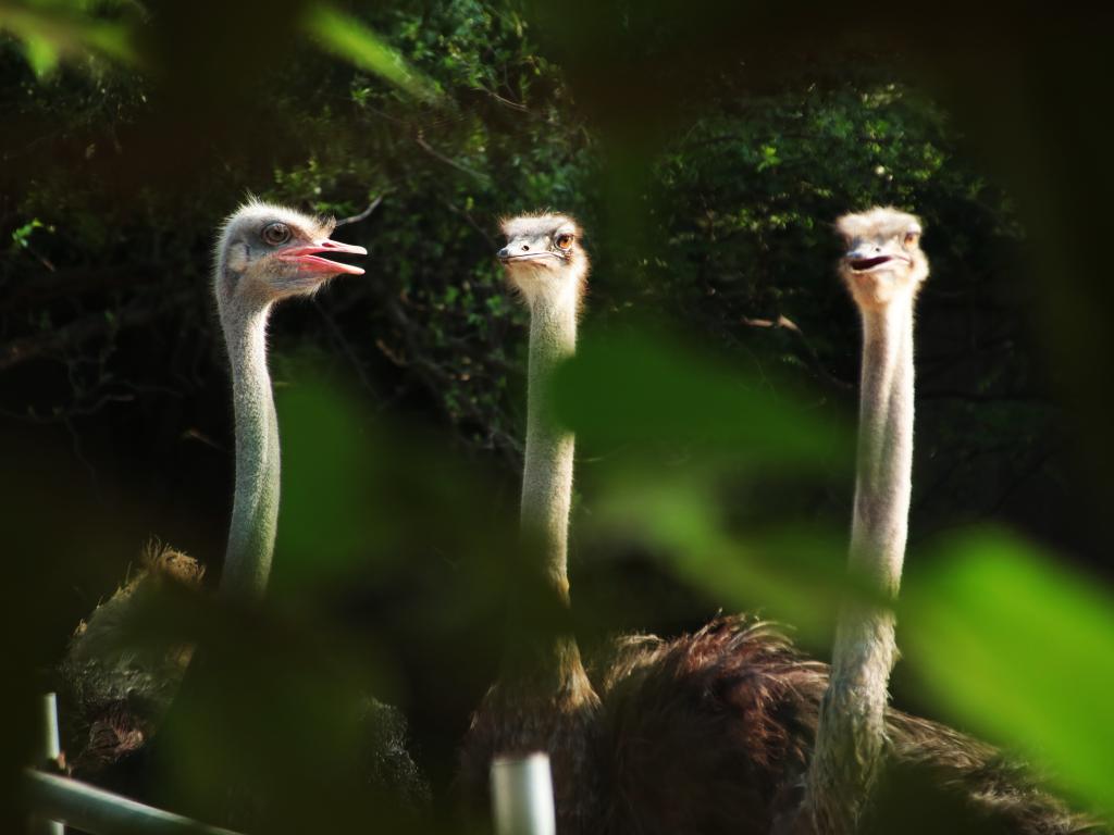 D7EE0CC8DE023C46A195F22F75E_7B7F80C0_ED8F